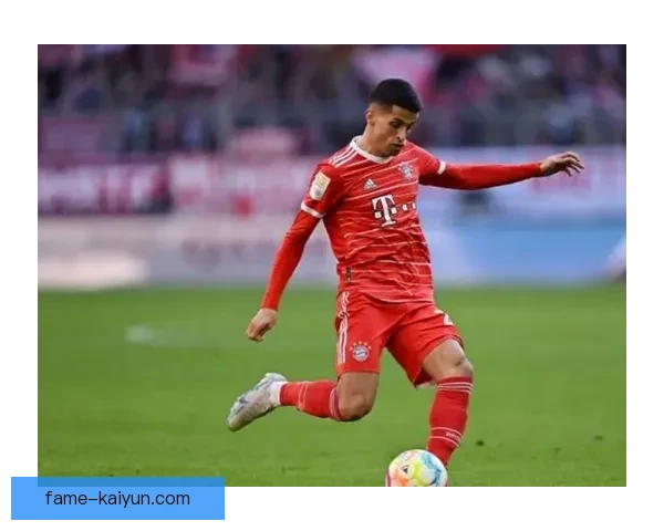 坎塞洛逐渐适应新环境，表现稳健令人关注